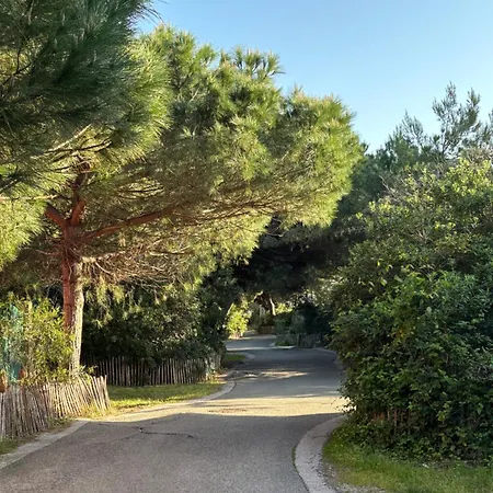 Les Flamants Roses La Capte T2 4 Personnes 200m De La Apartment